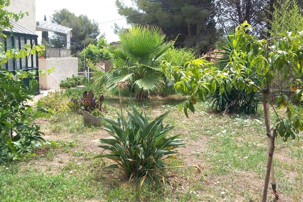 Villa Magali Grande Terrasse Vue Mer, Jardin, Proche Port La Ciotat Exterior foto